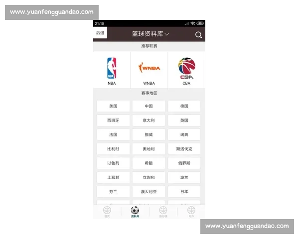篮球世界杯全面解析：赛事历史、参与球队及精彩赛程详解 - 副本 (2) - 副本