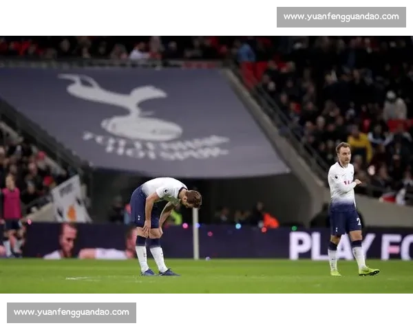 英超联赛新赛季前瞻：强队争锋，黑马崛起，谁能称霸英伦足坛 - 副本 (3)